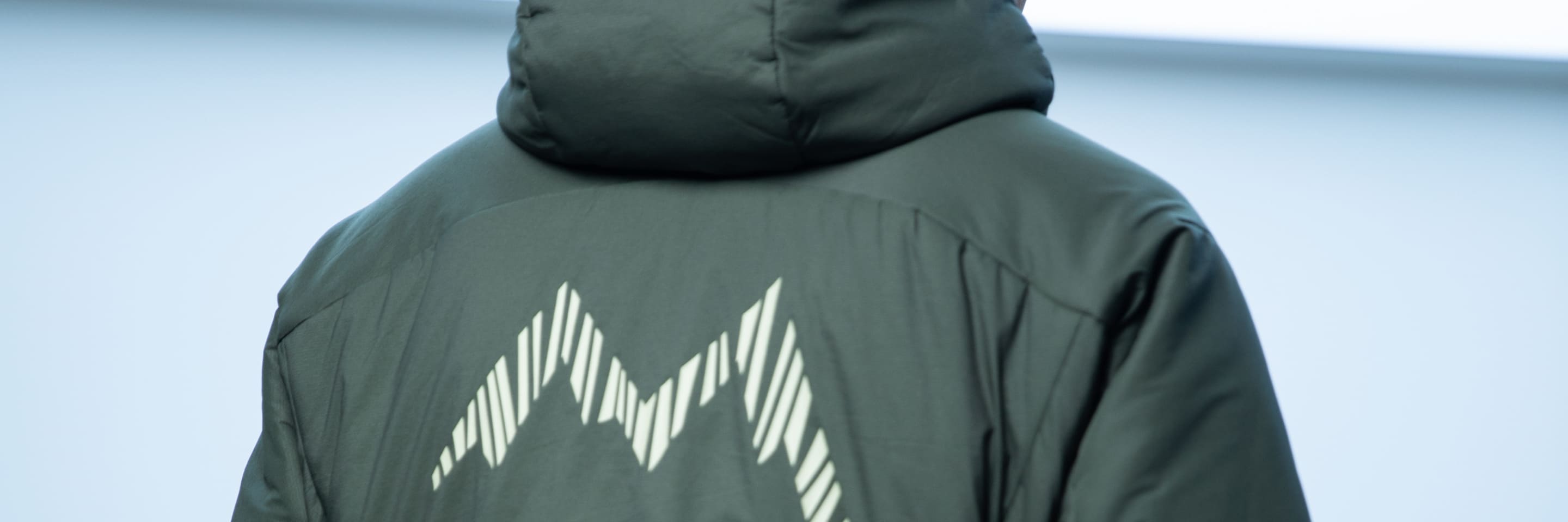 MIDDLE-LAYER banner