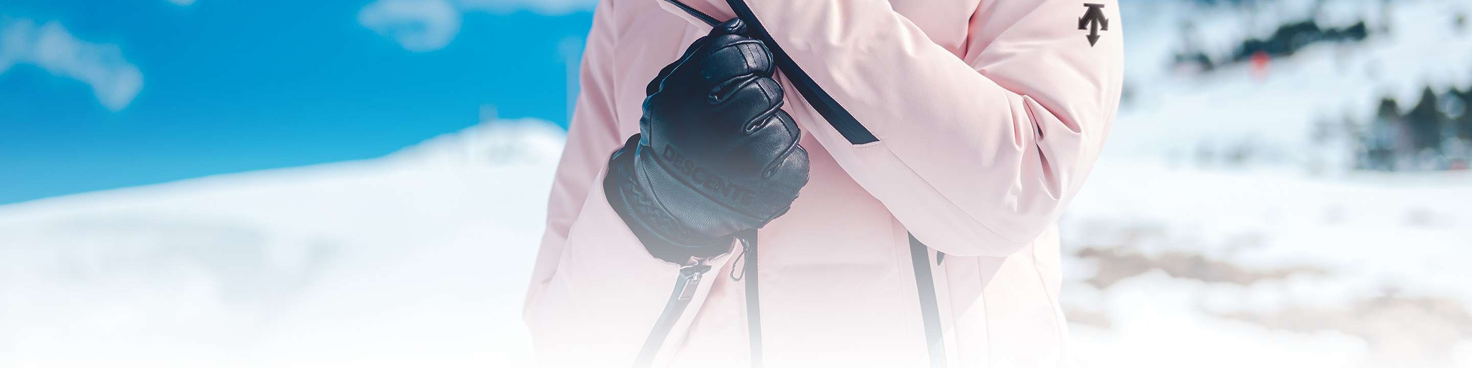 ACCESSORY banner